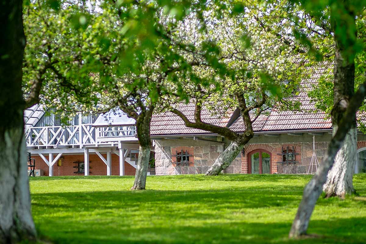 Blick vom Obstgarten zum Apartment 4.